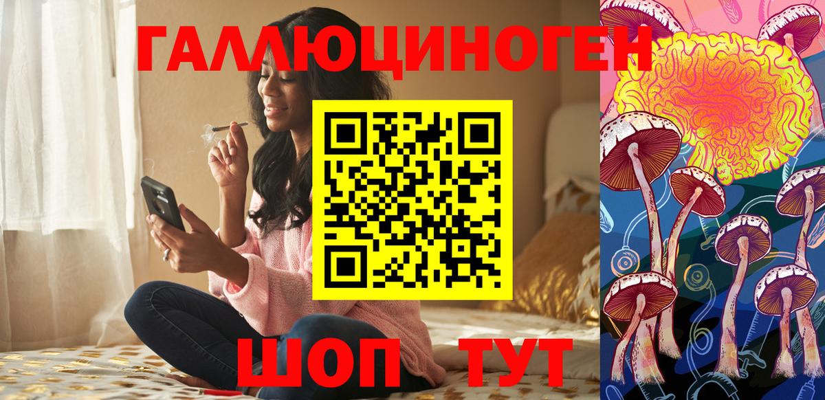 Псилоцибиновые грибы Psilocybe Севастополь